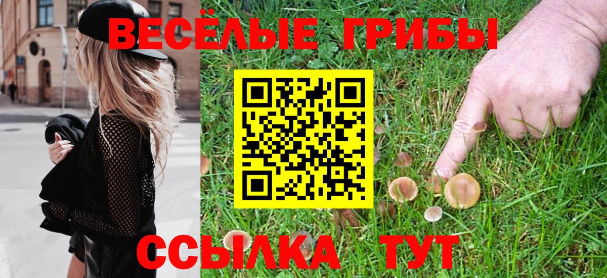Псилоцибиновые грибы Psilocybe  Галлюциногенные грибы мицелий  Озёры  Вход с VPN 