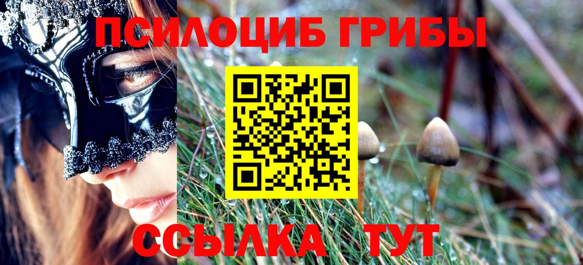 Псилоцибиновые грибы мицелий Озёры